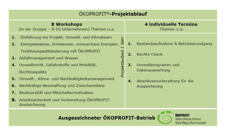 Tabelle mit Informationen zum Projektablauf Tabelle mit Informationen zum Projektablauf