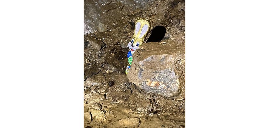 Osterhase hinter Stein