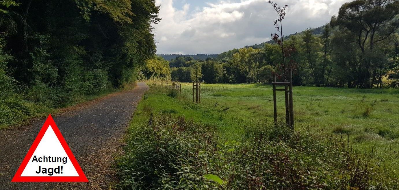 Das Bild gibt einen Hinweis auf die bevorstehende Treibjagd