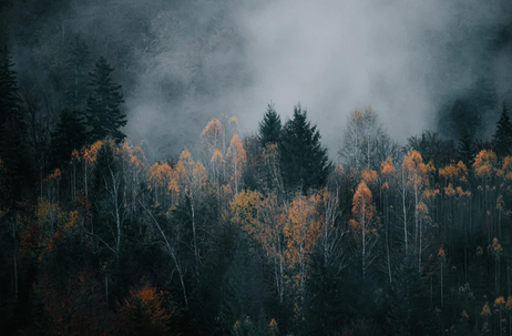 Beispielfoto
