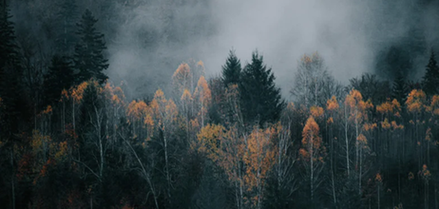 Beispielfoto Beispielfoto