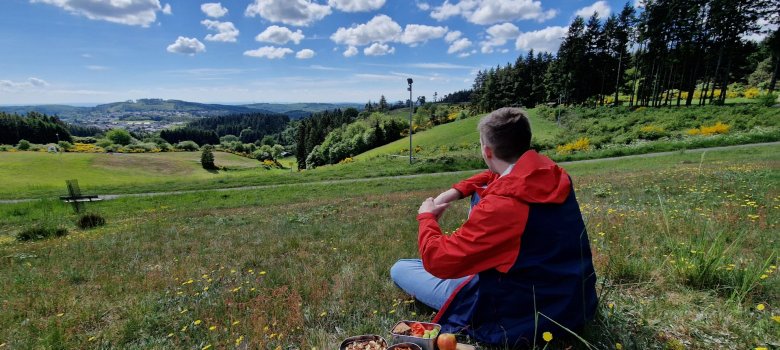 Landschaftsbild mit Ginster