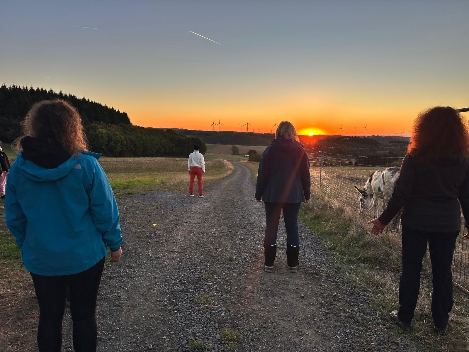 Das Bild zeigt einige Teilnehmer der Yogawanderung